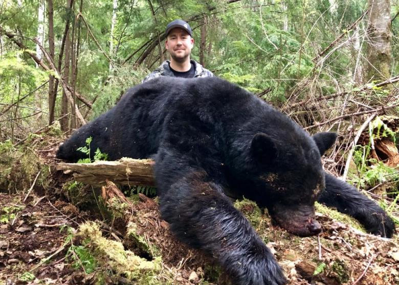 BEAR-SLIDE-1