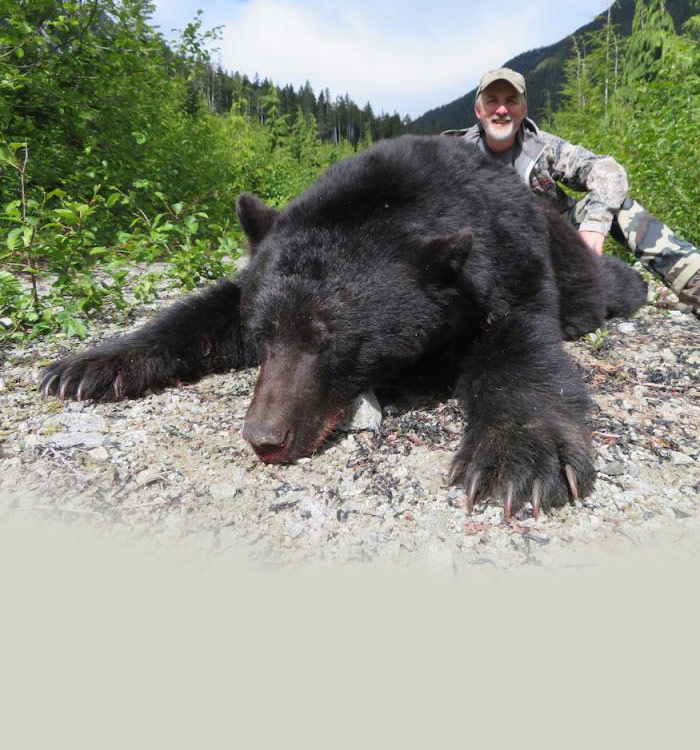 Black Bear Hunting Vancouver Island