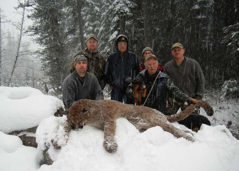 COUGAR-SLIDE-2