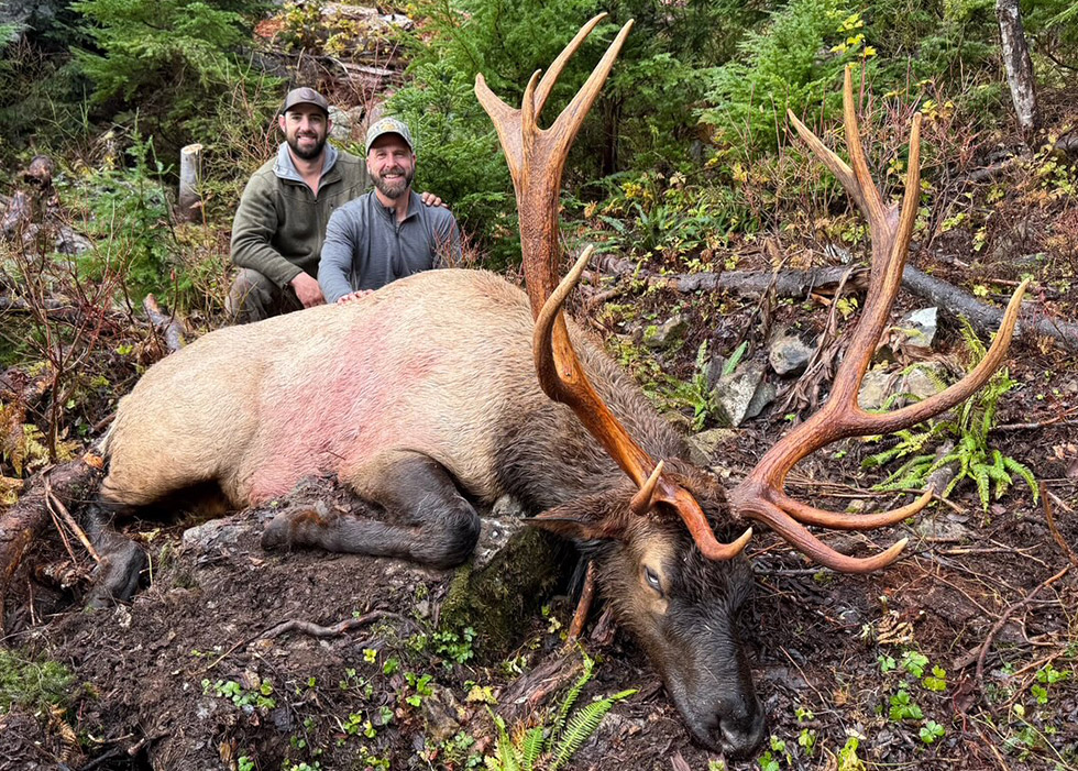 ELK-SLIDE-3