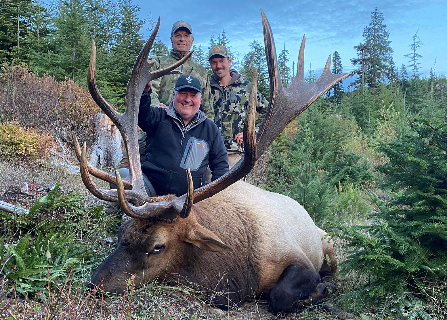 Roosevelt Elk Hunting Vancouver Island